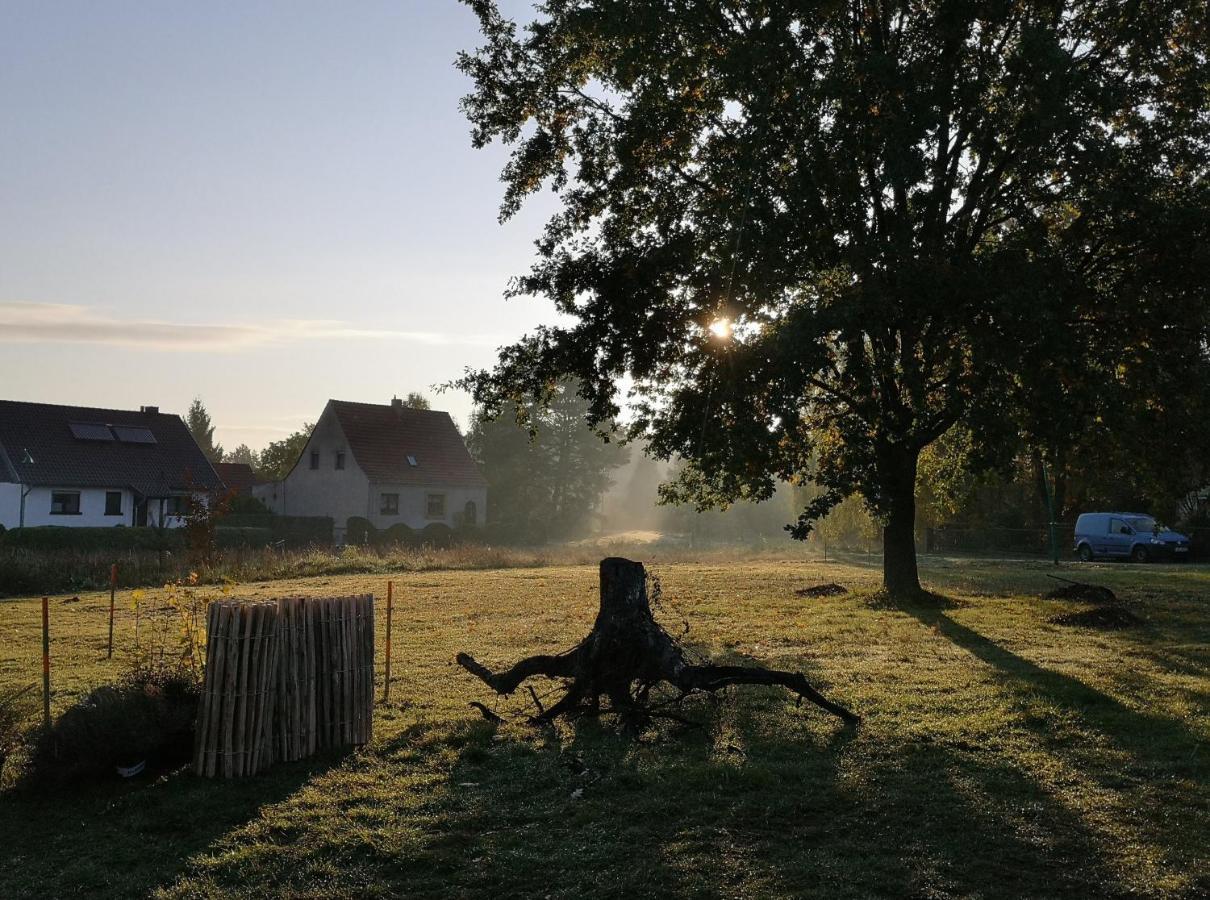 Ferienwohnung & Campingplatz Vor Dem Berg Heideblick 外观 照片
