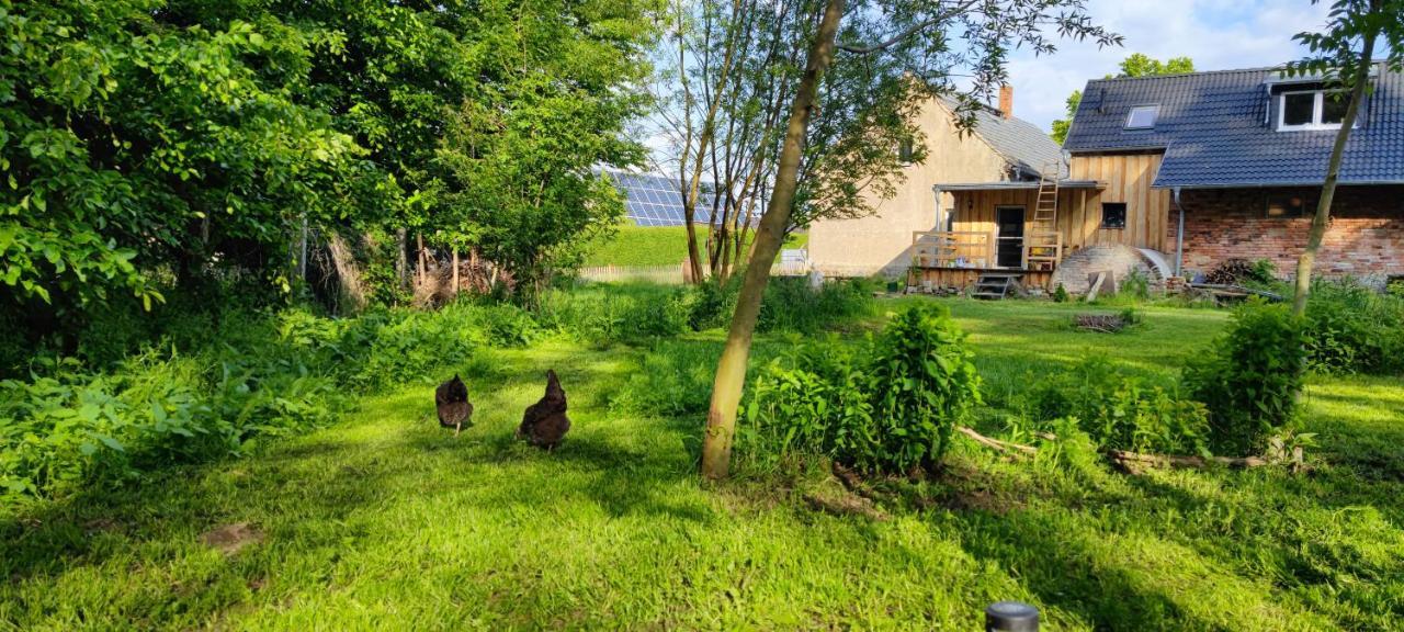 Ferienwohnung & Campingplatz Vor Dem Berg Heideblick 外观 照片